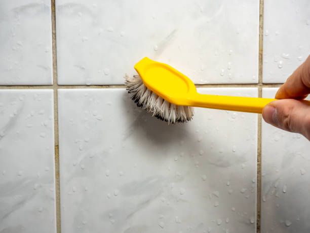 Best Home Mold Removal  in Monte Vista, CO