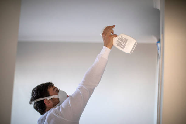 Best Mold Cleaning Services  in Monte Vista, CO