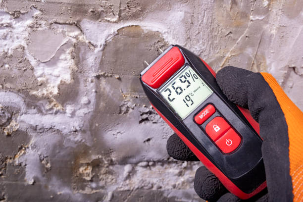 Best Residential Mold Removal  in Monte Vista, CO