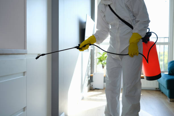 Best Mold Damage Repair  in Monte Vista, CO