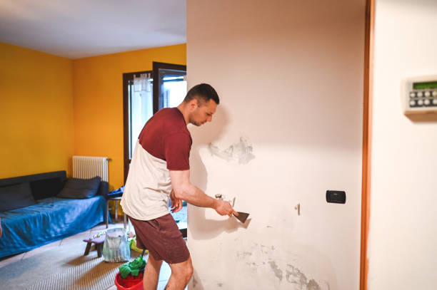 Home Mold Removal in Monte Vista, CO