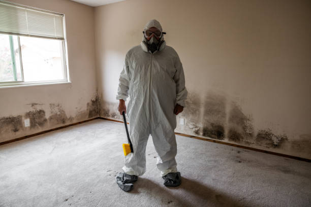 Best Commercial Mold Removal  in Monte Vista, CO